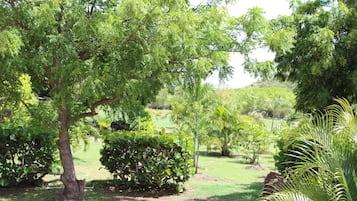 Vista al jardín
