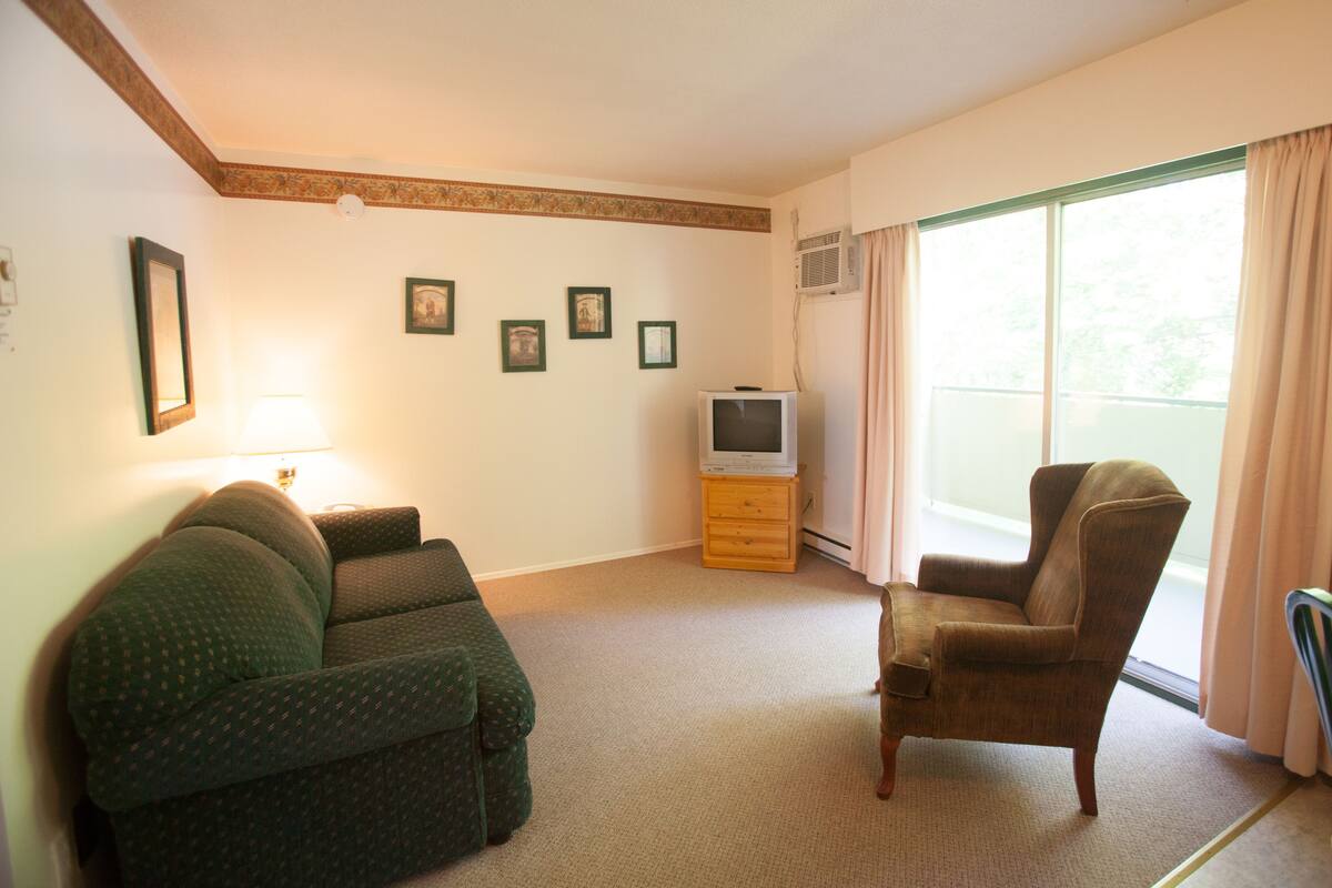 Una sala de estar con un sofá verde, un sillón marrón, un mueble bajo para la televisión de madera y un amplio ventanal con cortinas.