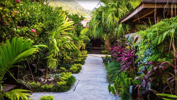 A narrow concrete pathway flanked by lush tropical plants and a wooden structure on the right. - Eden's Edge Hotel (Apia)