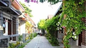 Vườn