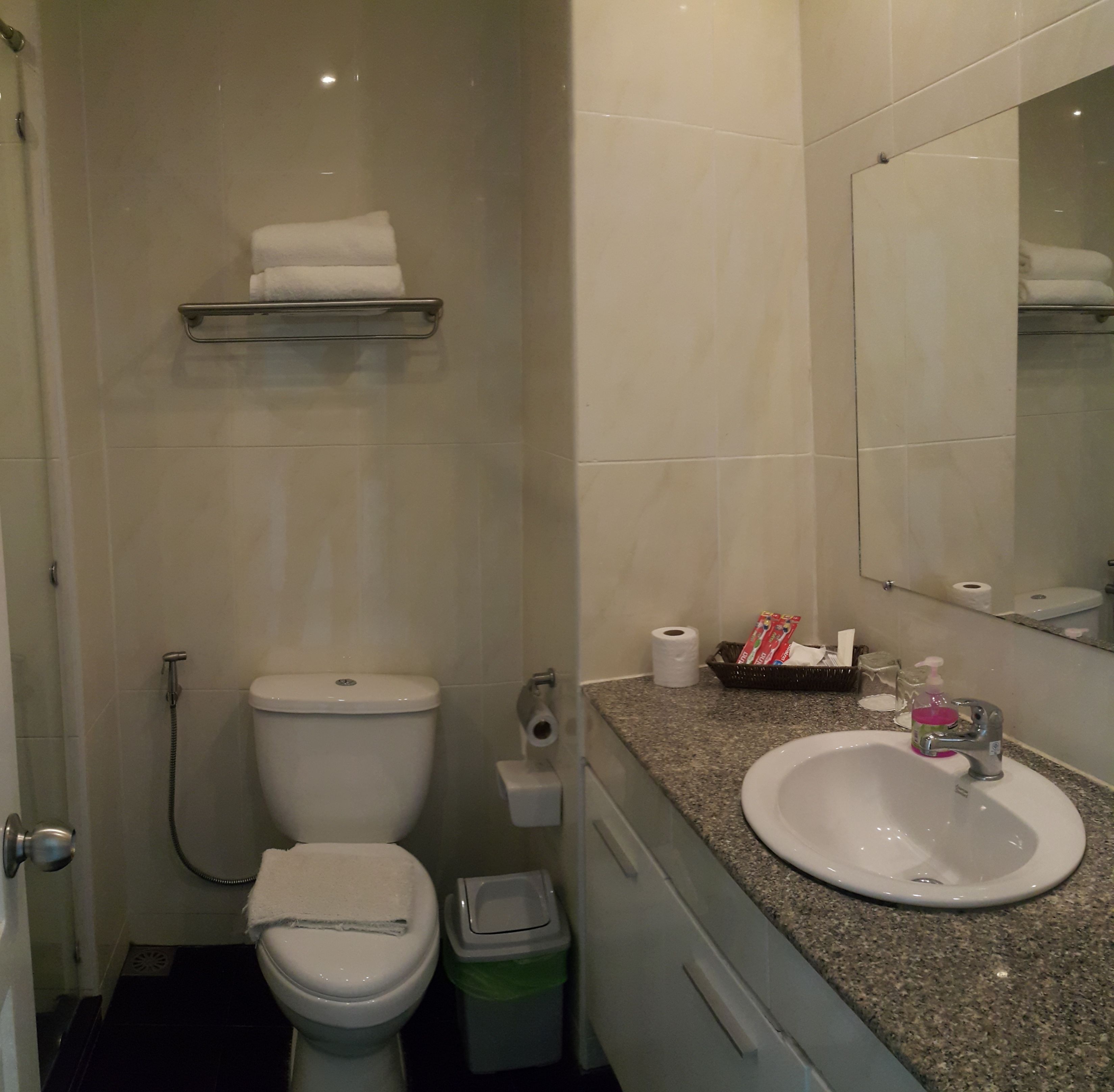 A bathroom with a toilet, sink, and a mirror.