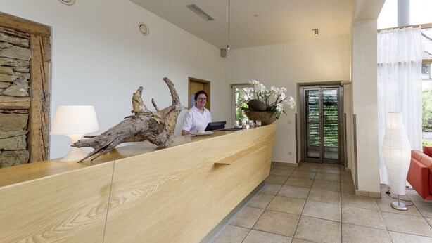 A reception desk with a wooden finish, a stone wall, a large plant, and a modern lamp. - Hotel & Restaurant die Linde (Wangen)