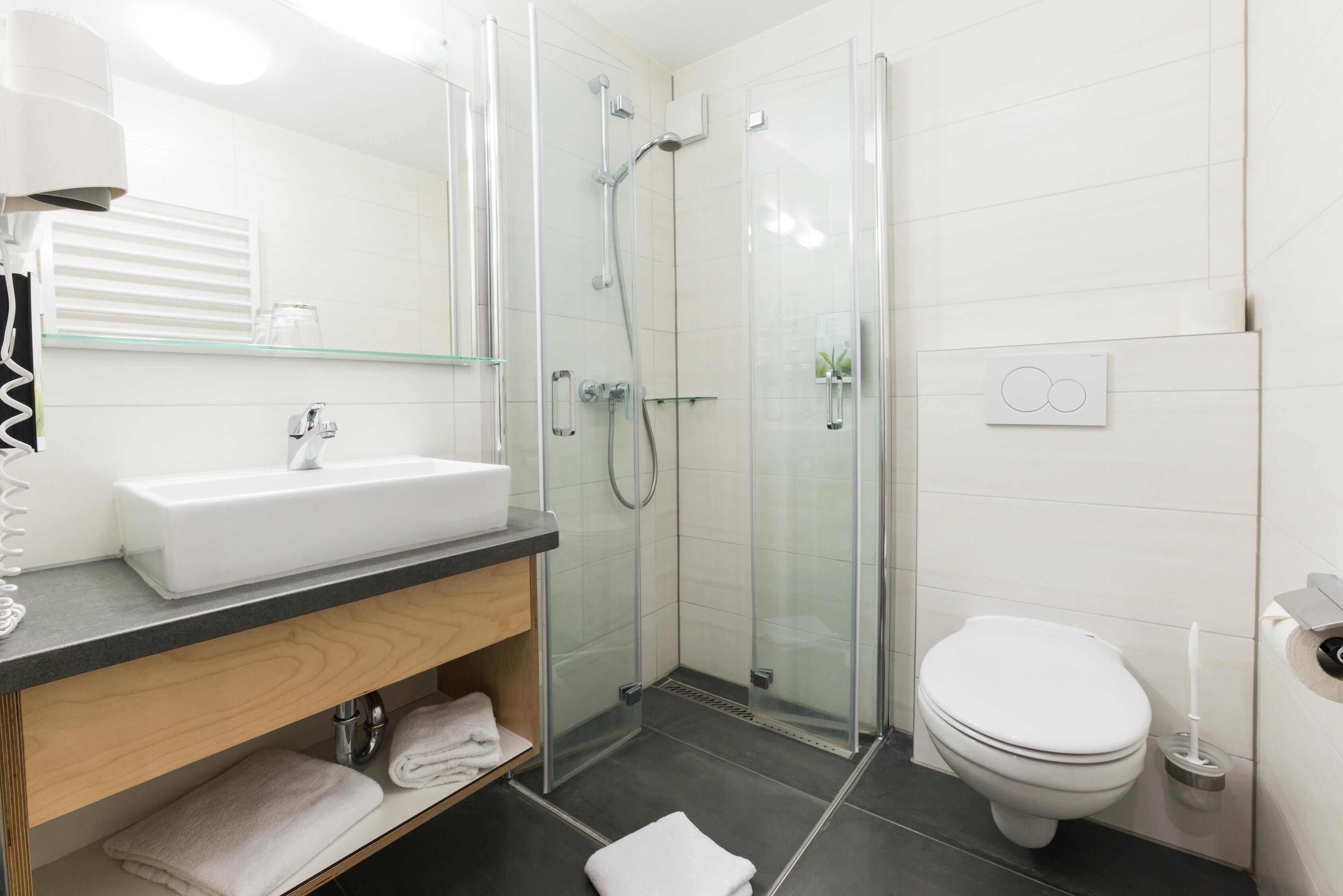 A modern bathroom with a glass shower enclosure, a white sink, and a toilet.