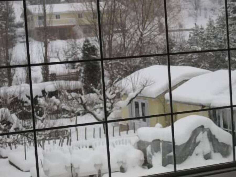 A snowy landscape with a house and trees.