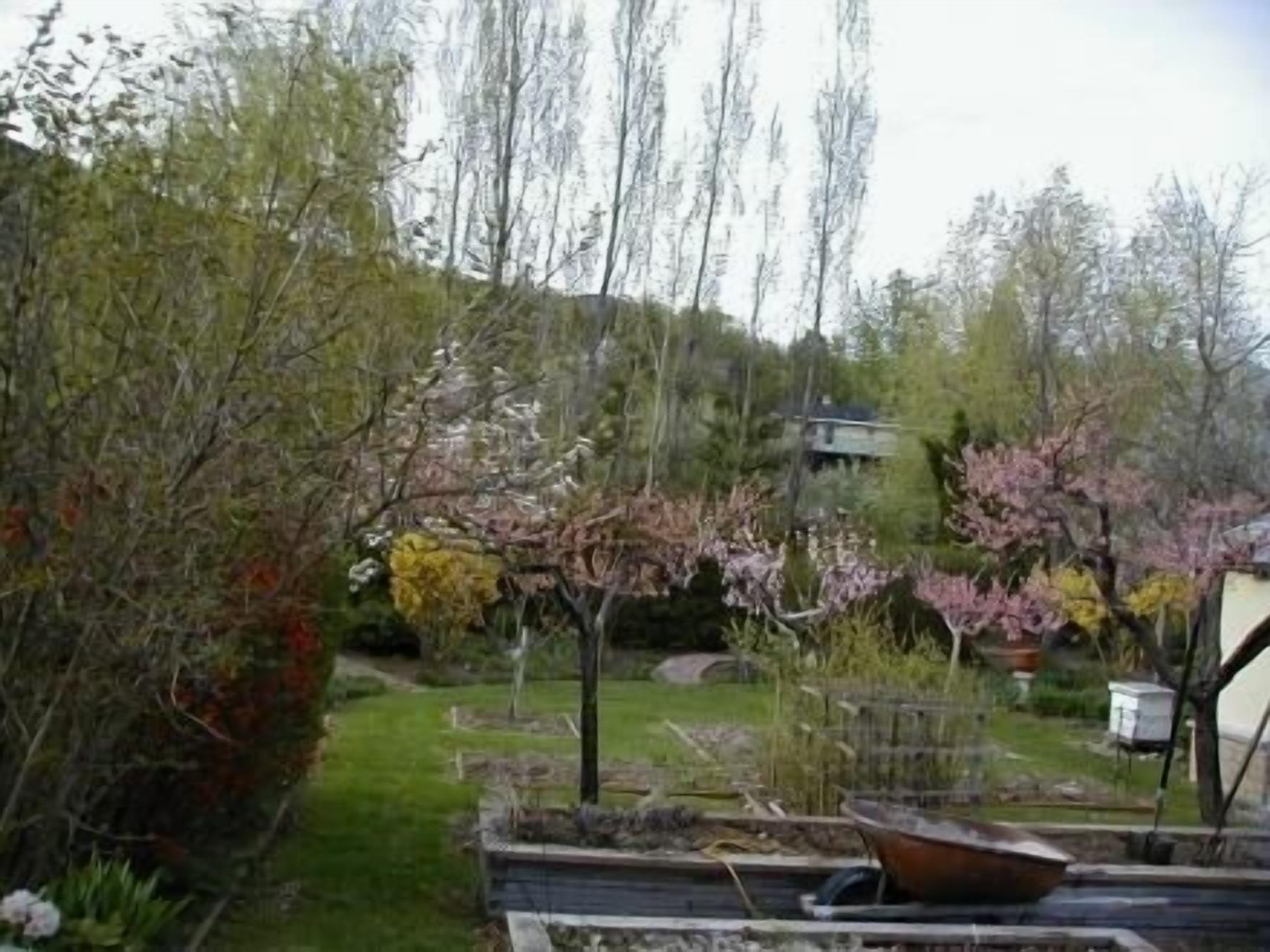 A garden with various plants and a small pond with a boat.