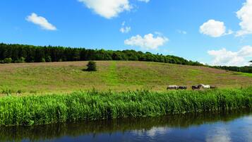 A grassy field with a body of water in the foreground and a forested hill in the background.