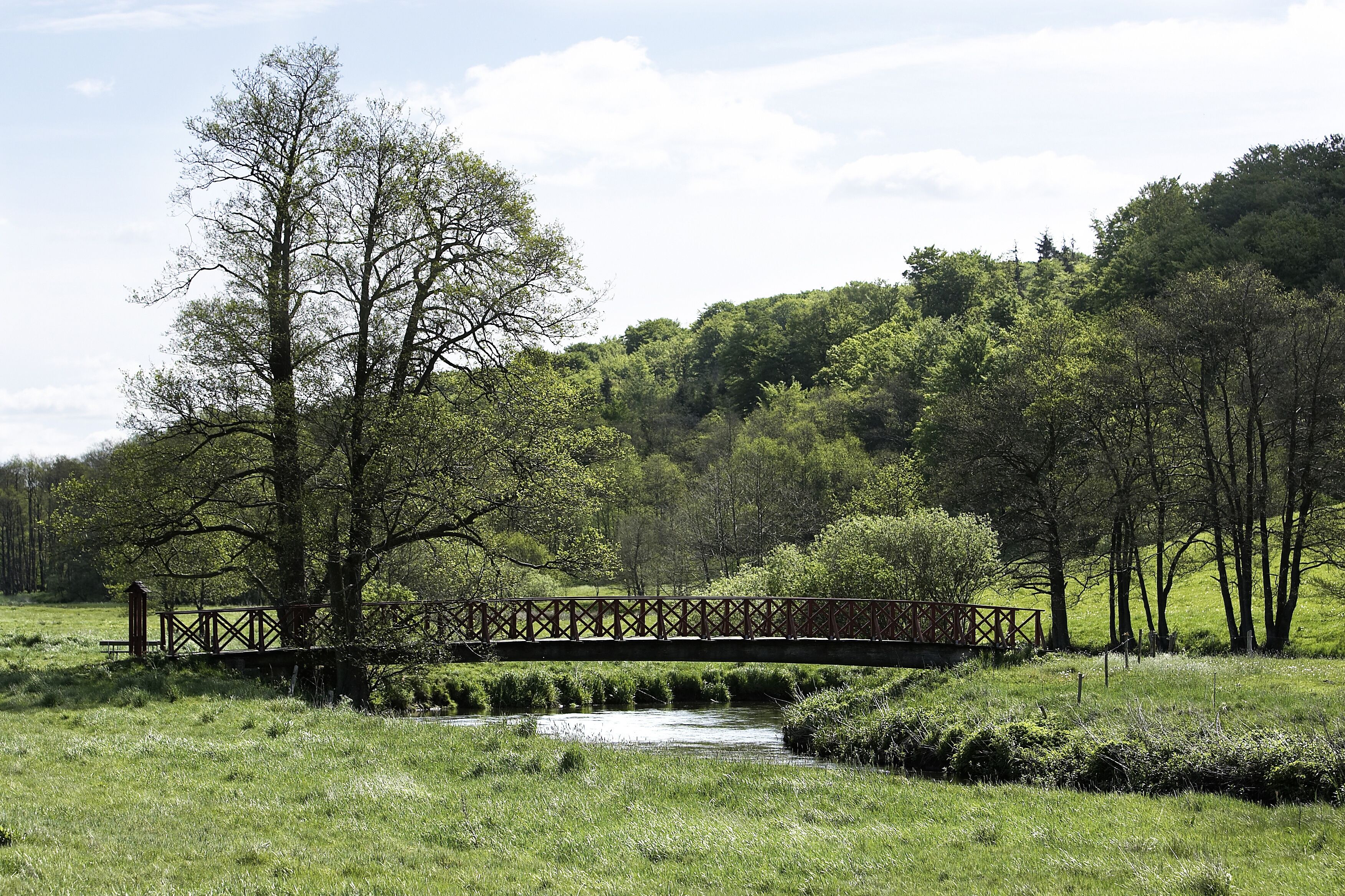 Foto - Haraldskær Sinatur Hotel & Konference