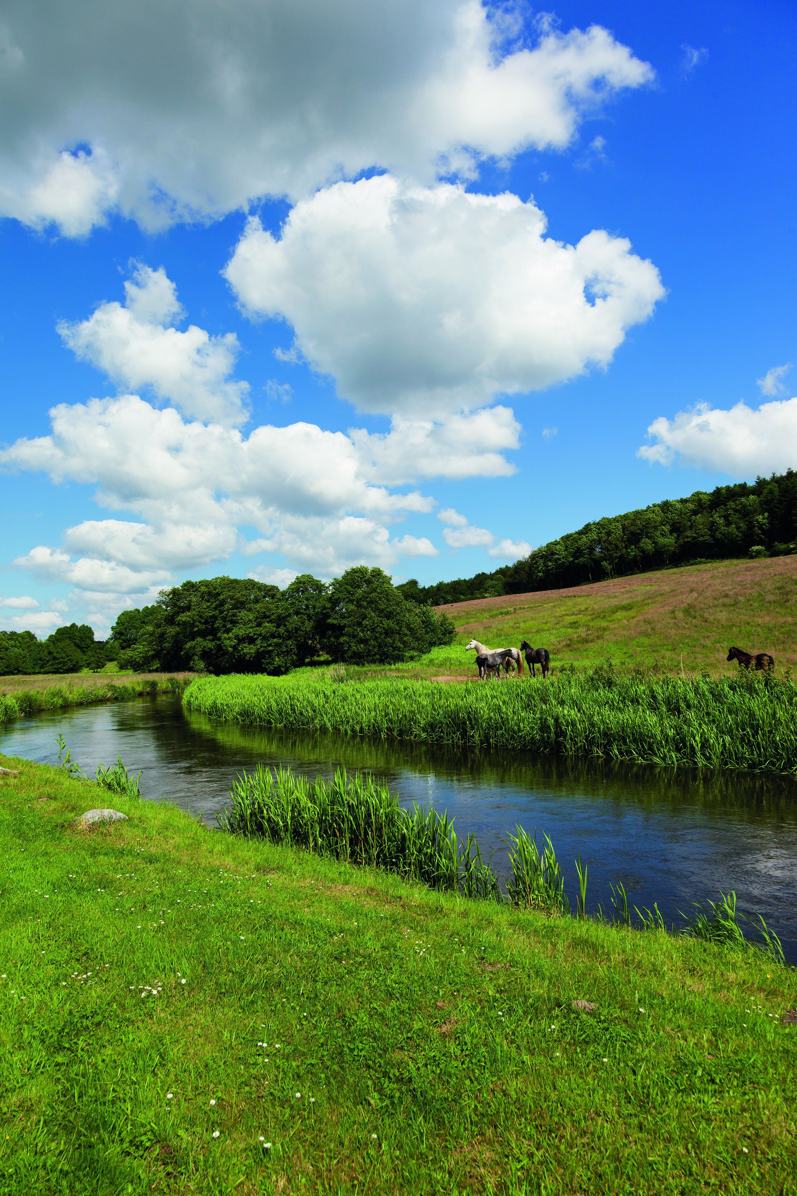 Foto - Haraldskær Sinatur Hotel & Konference