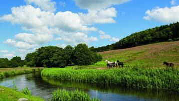 A river meandering through a lush green landscape with horses grazing on the banks.