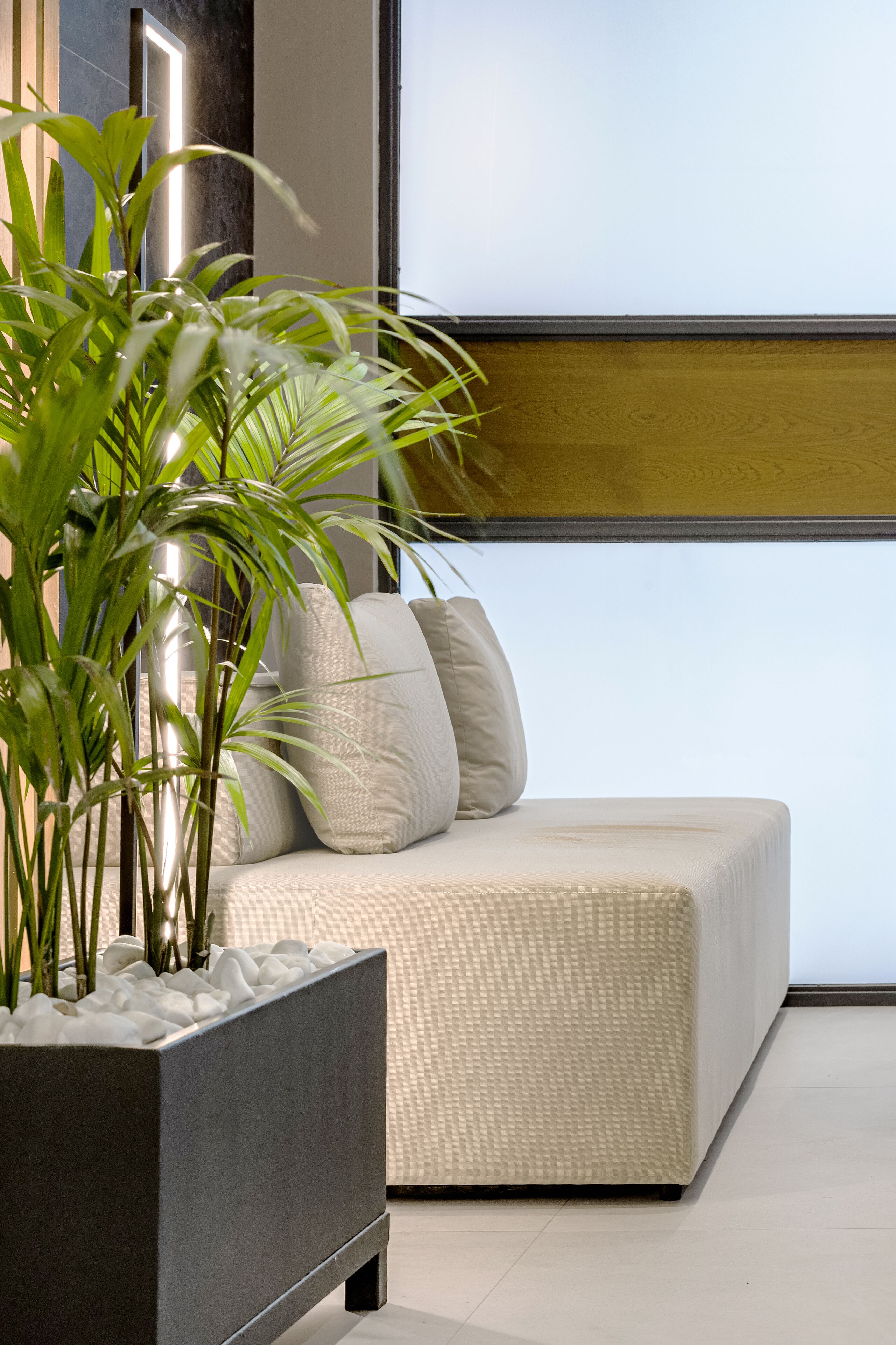 Una sala moderna con un sofá, una mesita auxiliar de madera oscura y una planta grande en maceta.