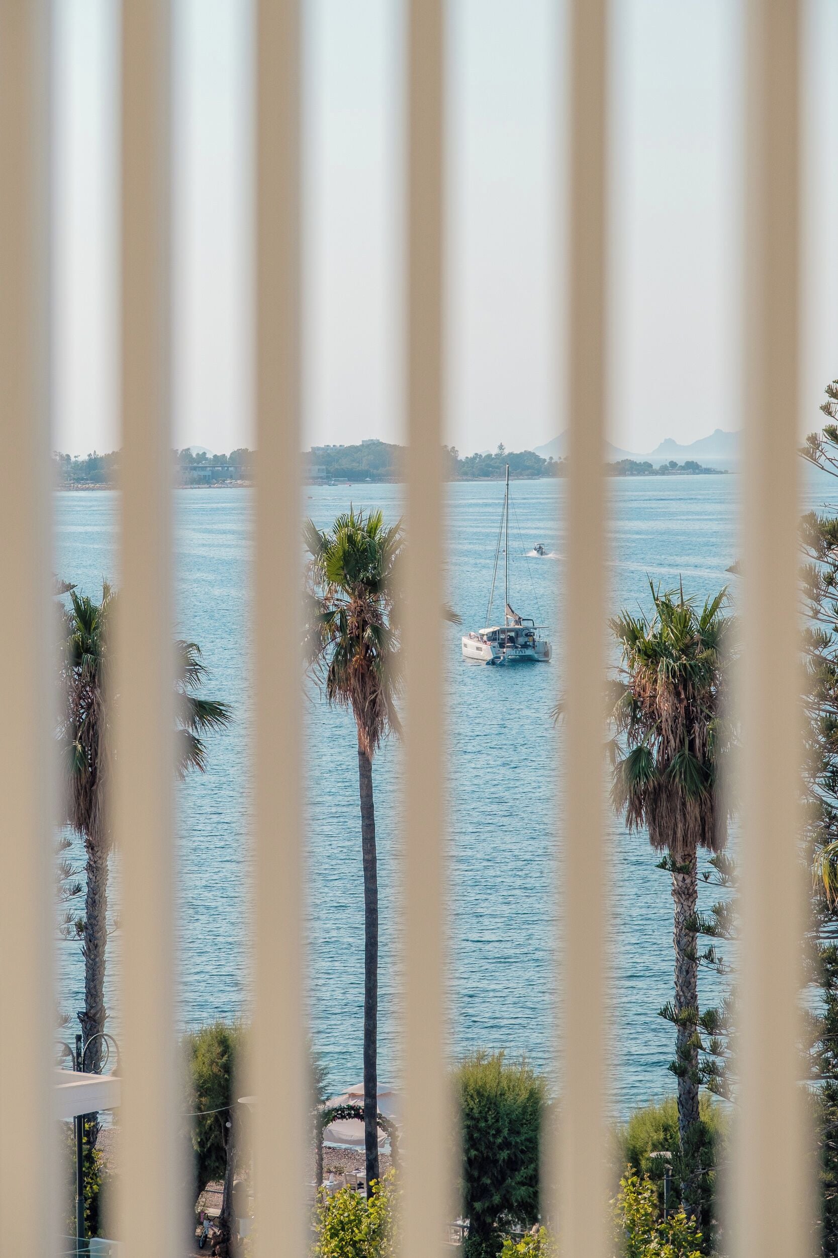 A view of a calm sea with a sailboat and palm trees in the foreground.