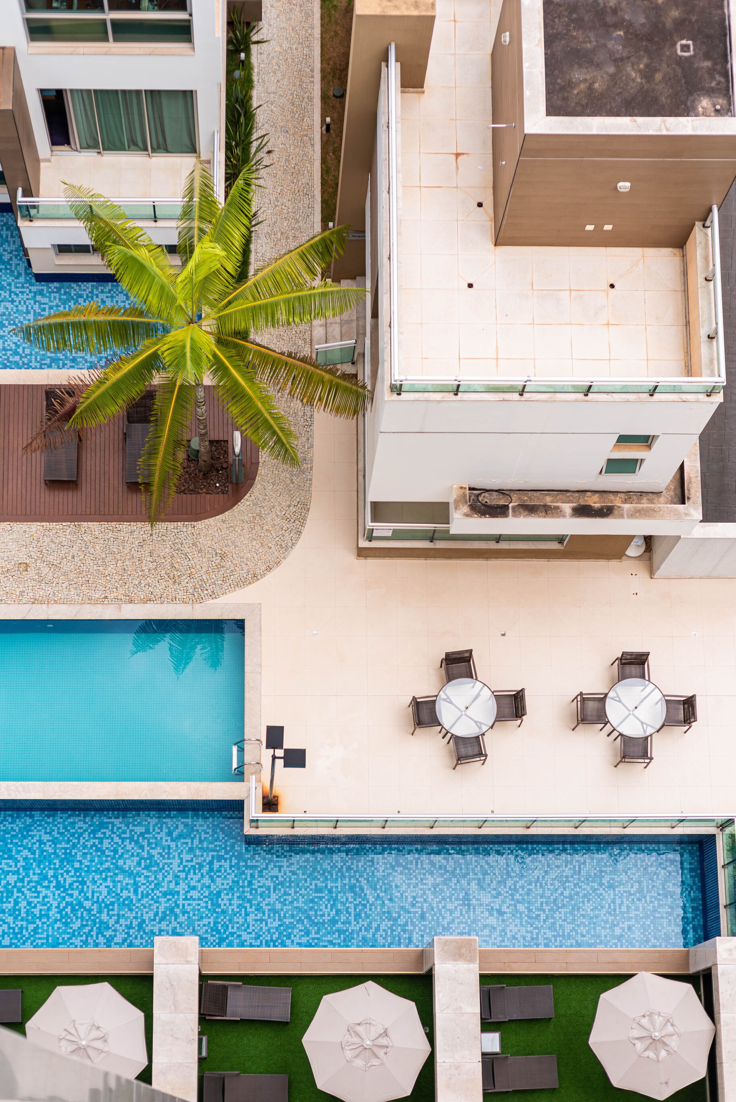 Un área de piscina en la azotea con una palmera, dos sillas de descanso y una pequeña terraza.