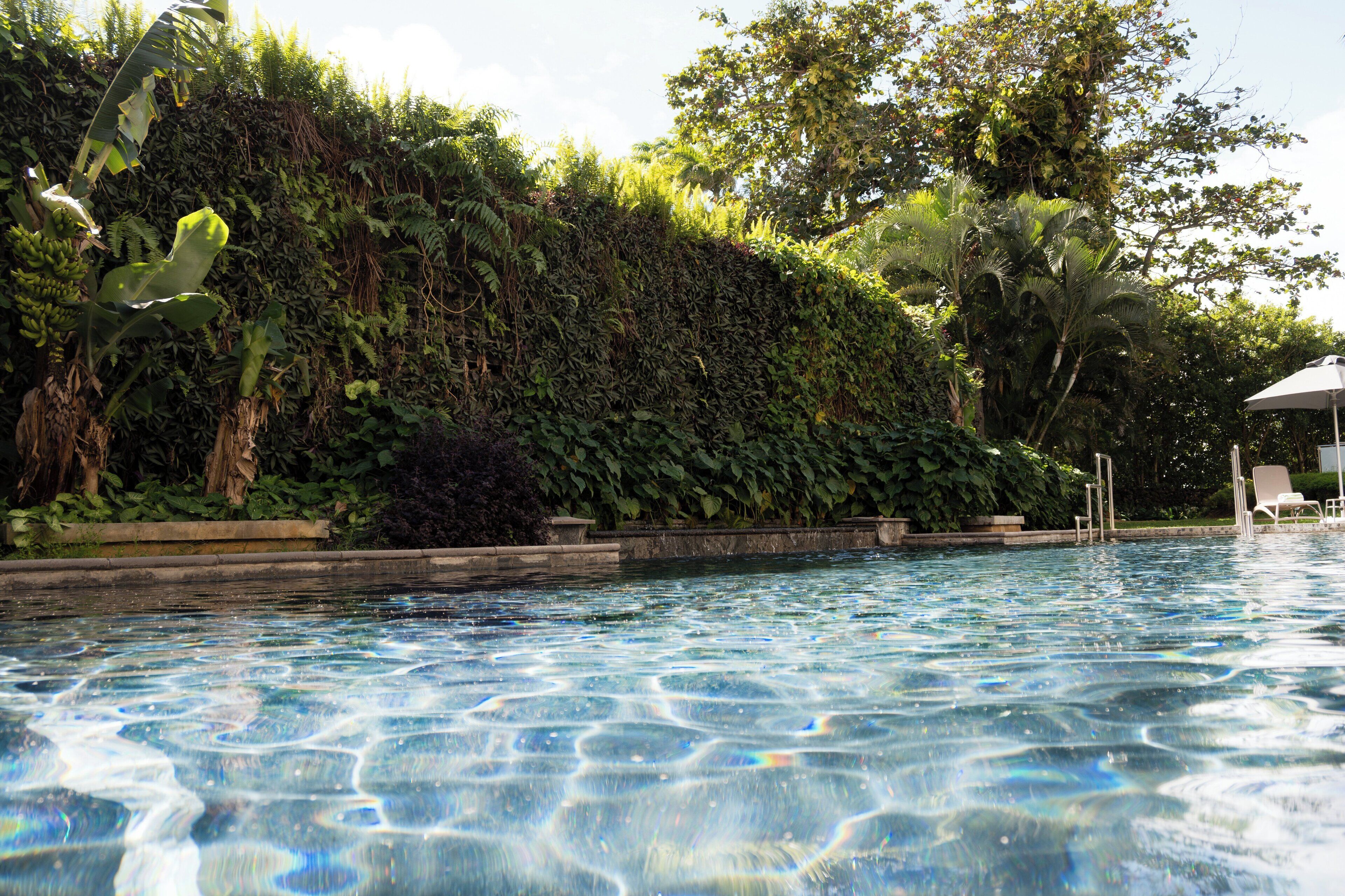 outdoor pool, open 8:00 am to 8:00 pm, pool umbrellas, pool loungers