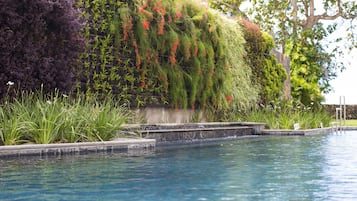 Una piscina al aire libre, sombrillas, sillones reclinables de piscina