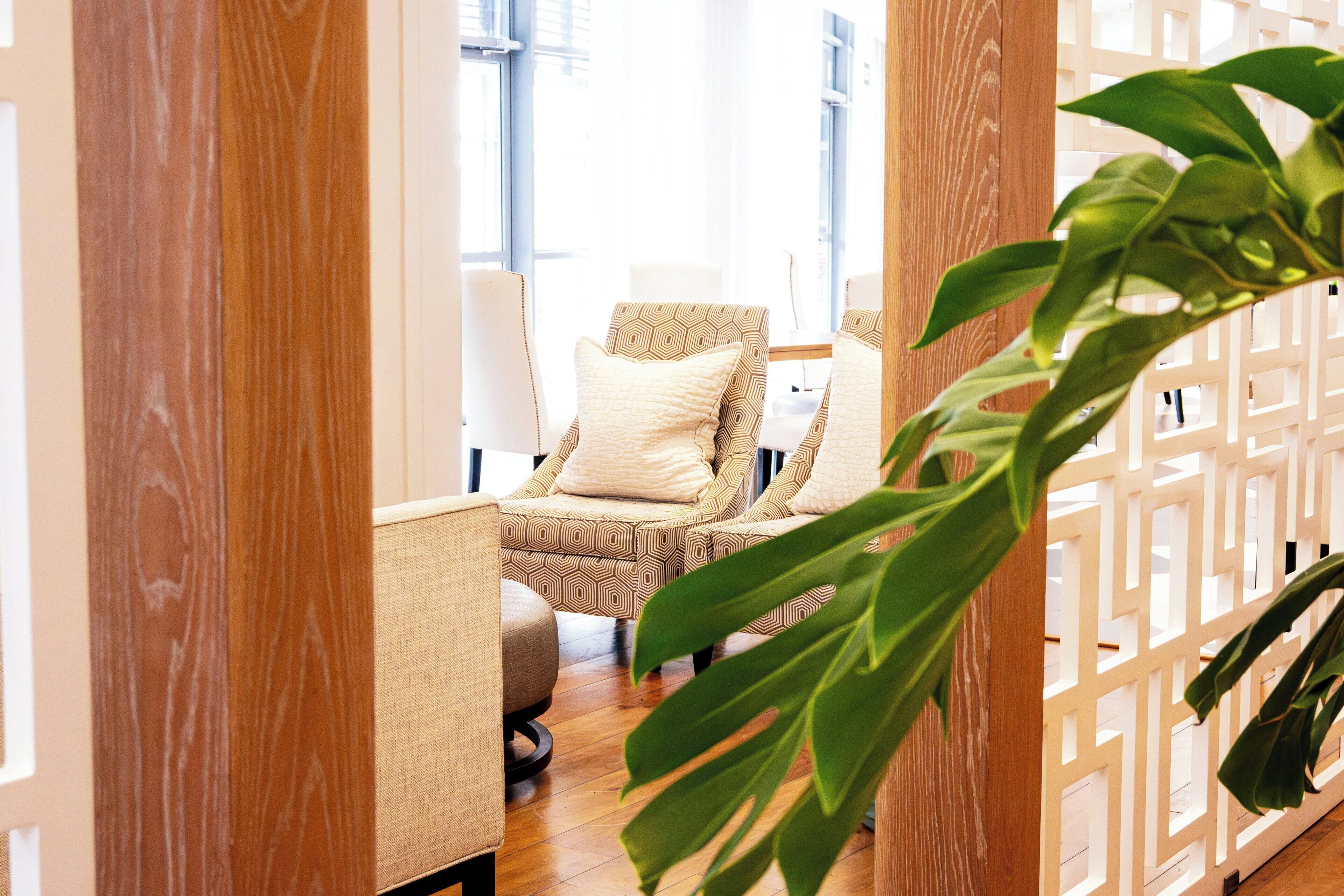 A room with a wooden floor, a patterned sofa, and a large plant.