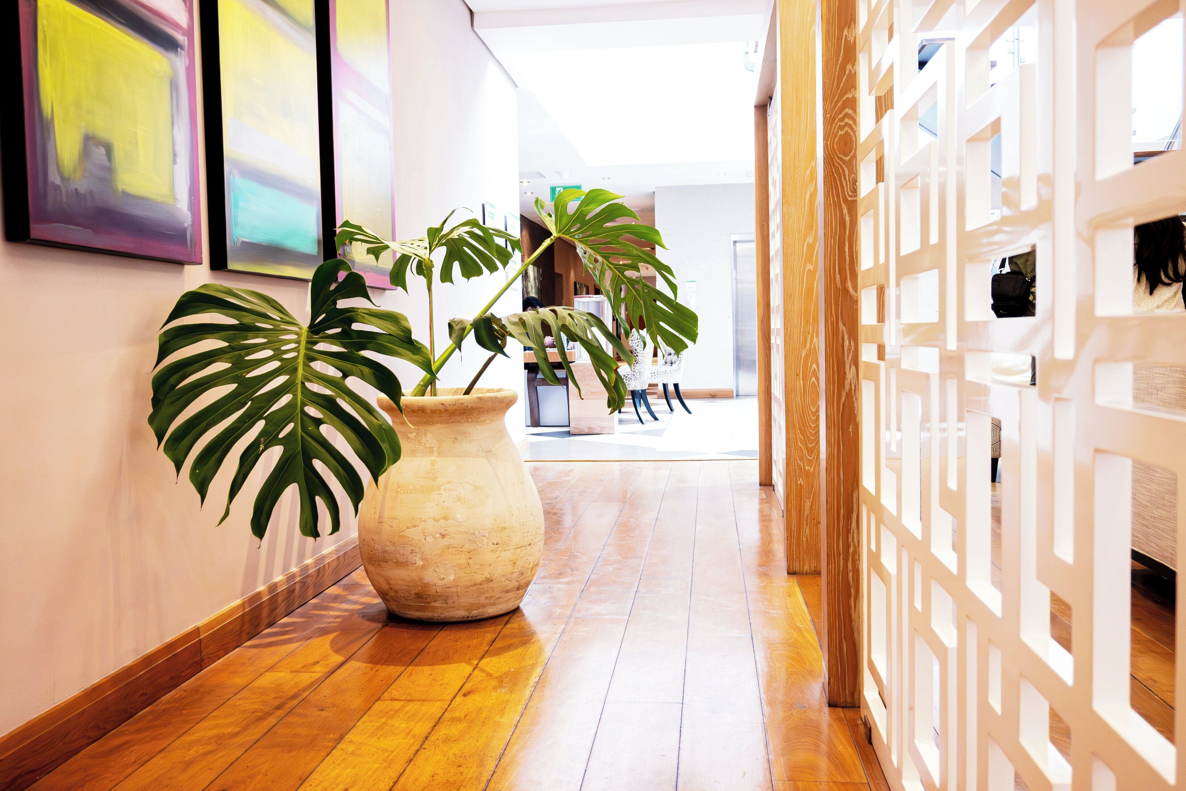 Photo - Holiday Inn Mauritius Mon Trésor by IHG