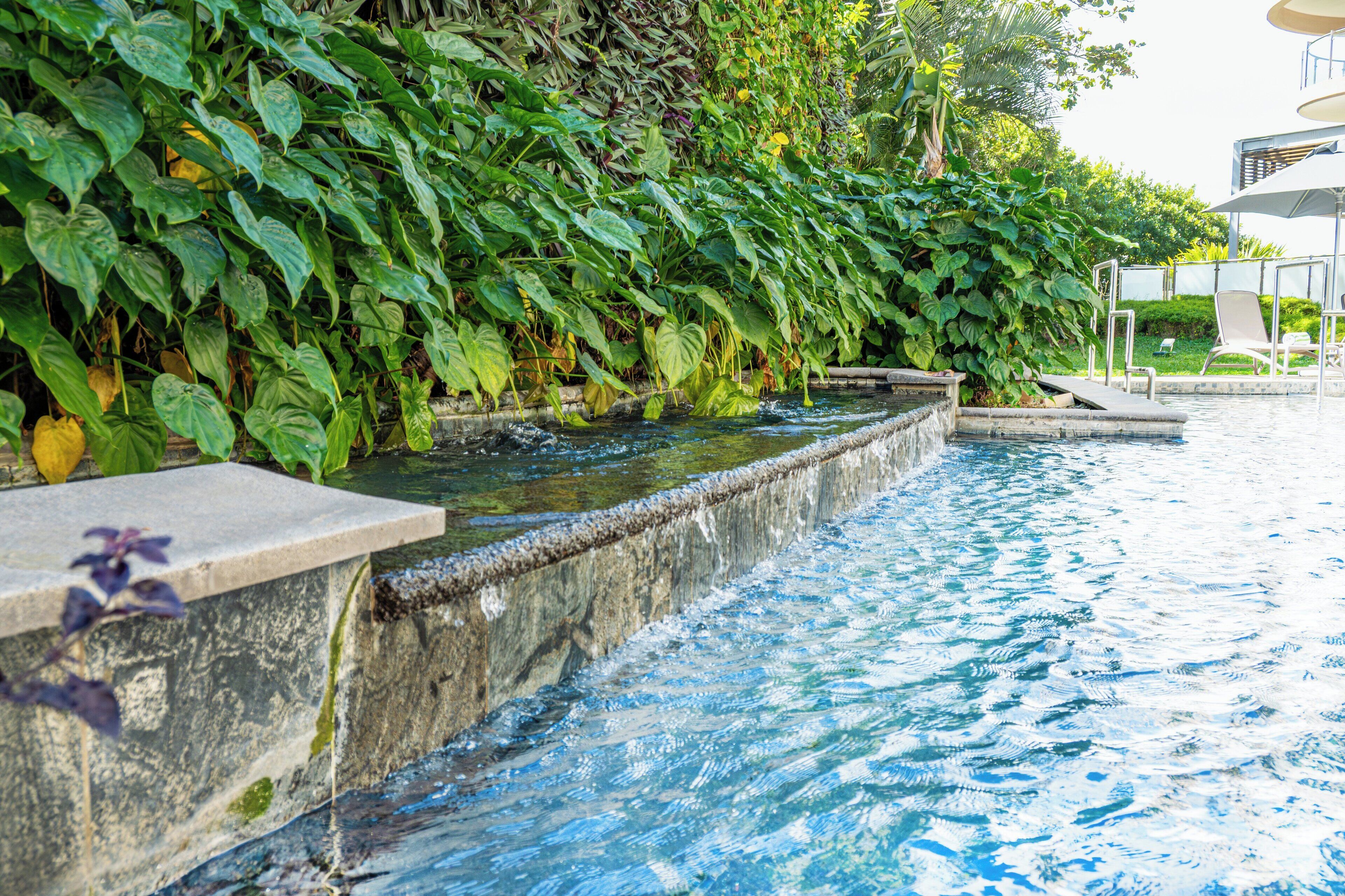 Una piscina con borde de hormigón y repisa de piedra, rodeada de exuberante follaje verde.