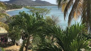 A view of a beach with palm trees, a mountain, and a clear sky. - Green Roof Inn (Hillsborough)