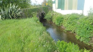 المنطقة المحيطة بالمنشأة