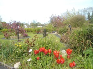 Property grounds - Perrymount Country Home Bed & Breakfast (Gorey)