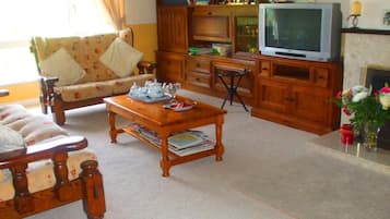 Flat-screen TV
