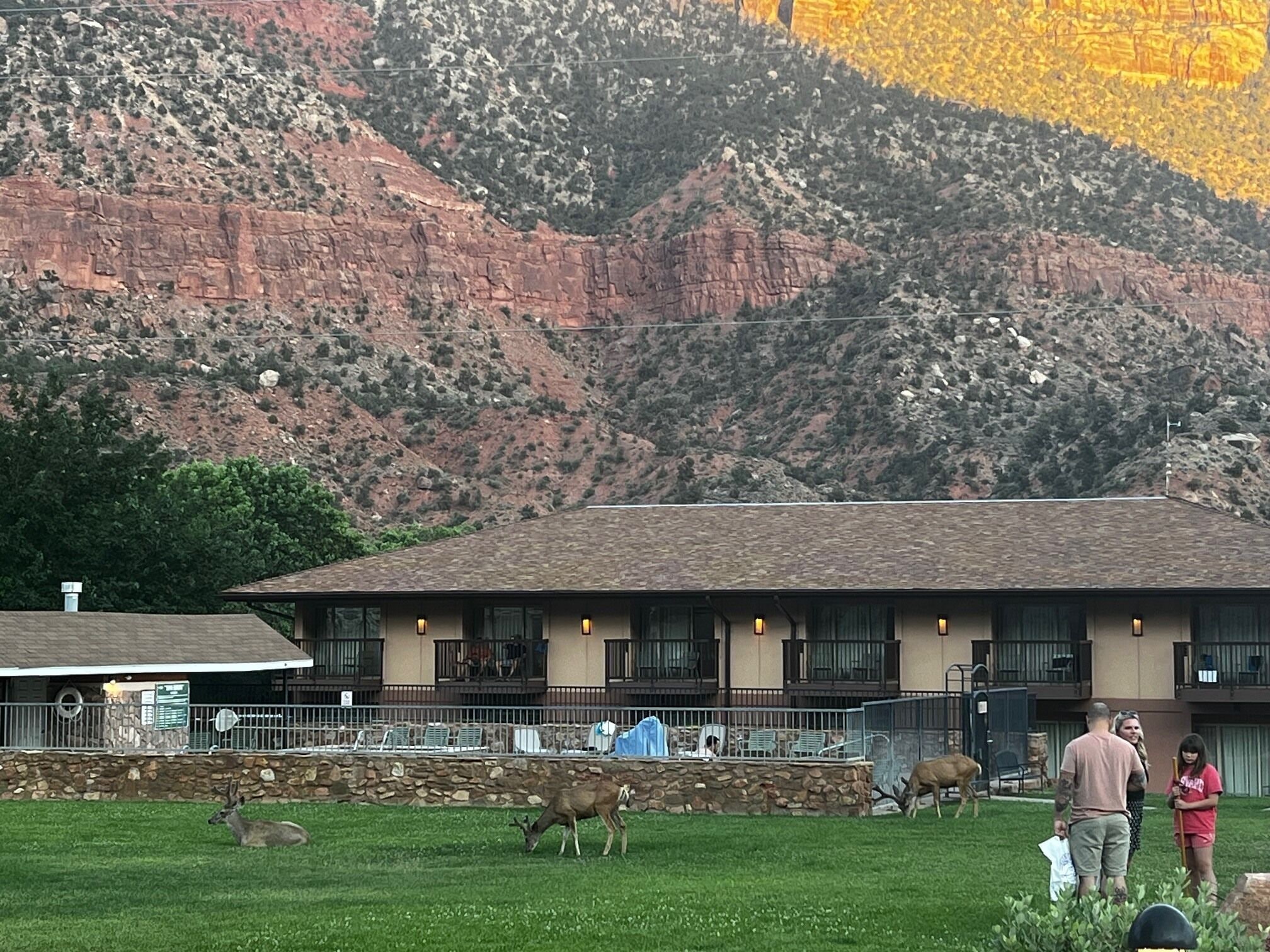 Foto - Bumbleberry Inn