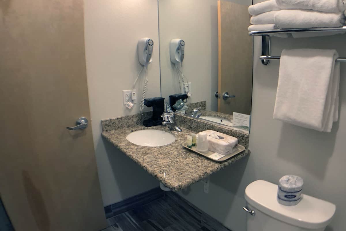economy room, 1 queen bed (near ice machine) | bathroom | free toiletries, hair dryer, towels