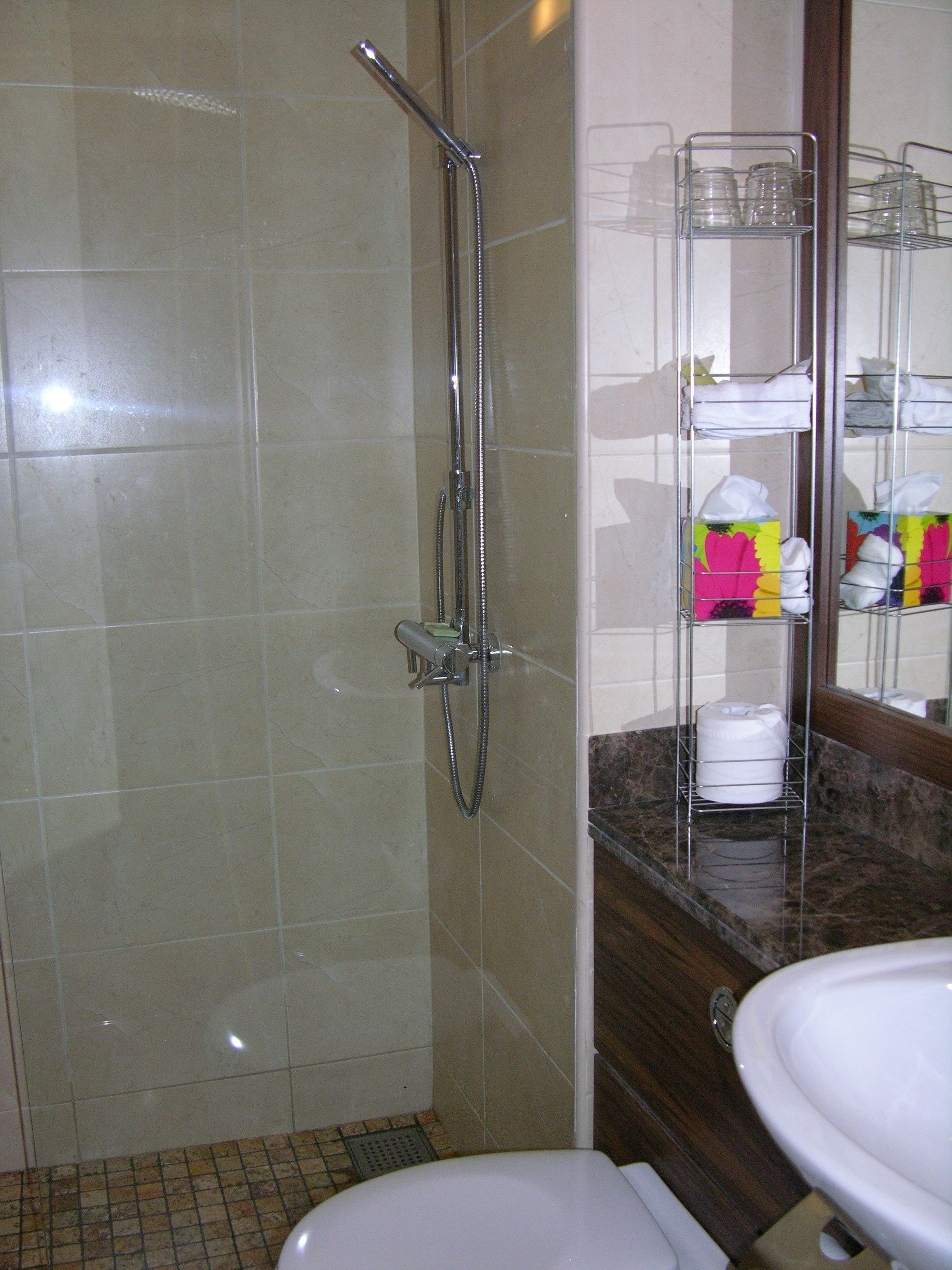 A bathroom with a shower, toilet, and a mirror with a towel rack.