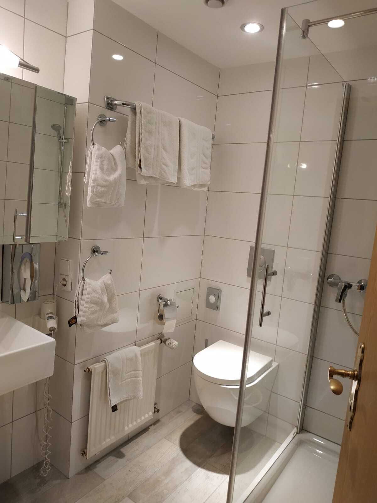 A modern bathroom with a glass shower enclosure, a toilet, and a sink.