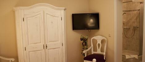 A bedroom with a bed, a television, a wardrobe, a chair, and a shower area.