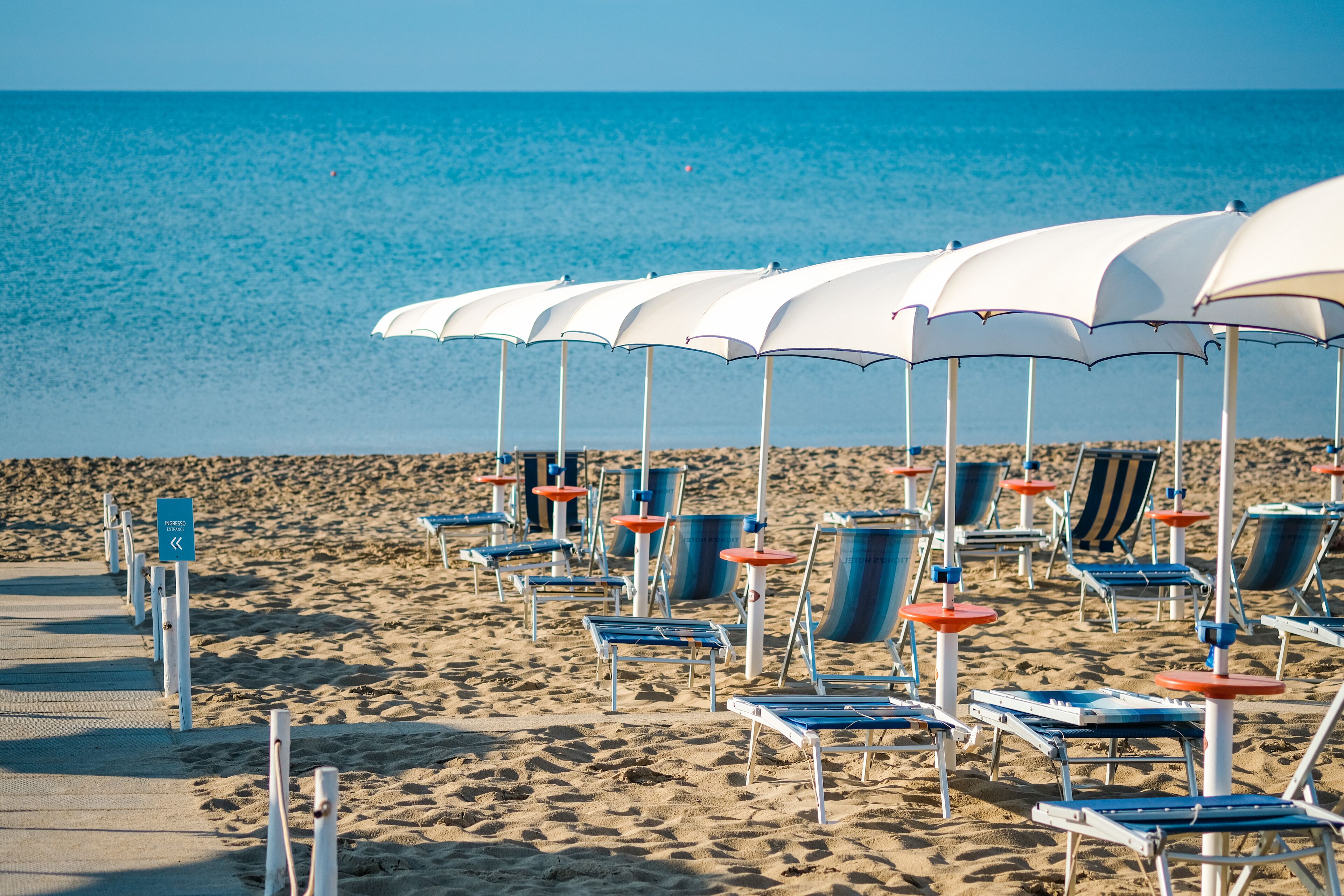 A beach with rows of white beach umbrellas and blue lounge chairs.