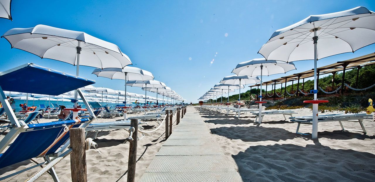 A beach with rows of sunbeds and umbrellas, a clear sky, and a sandy path leading to the sea.