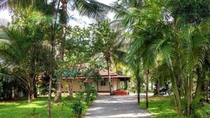 Un chemin menant à un bâtiment entouré d’une végétation luxuriante et de palmiers.