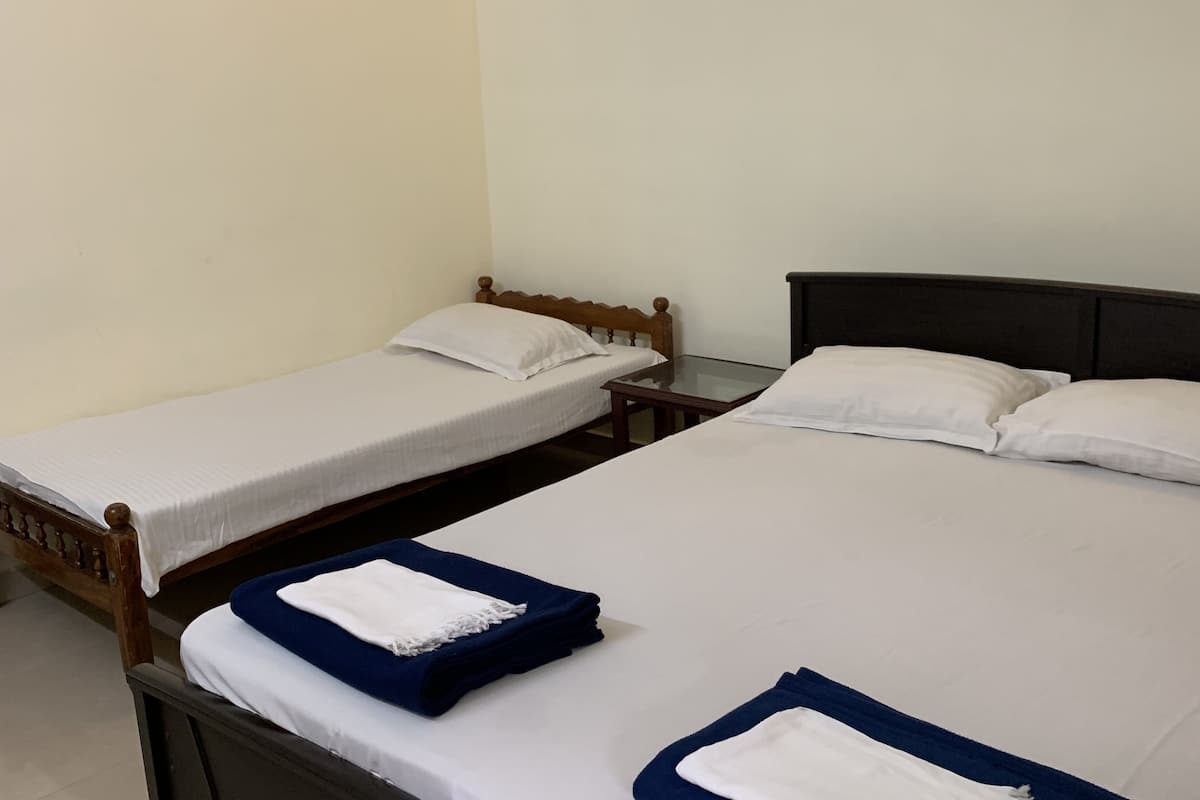 deluxe room (ac) | desk, soundproofing, rollaway beds, free wifi