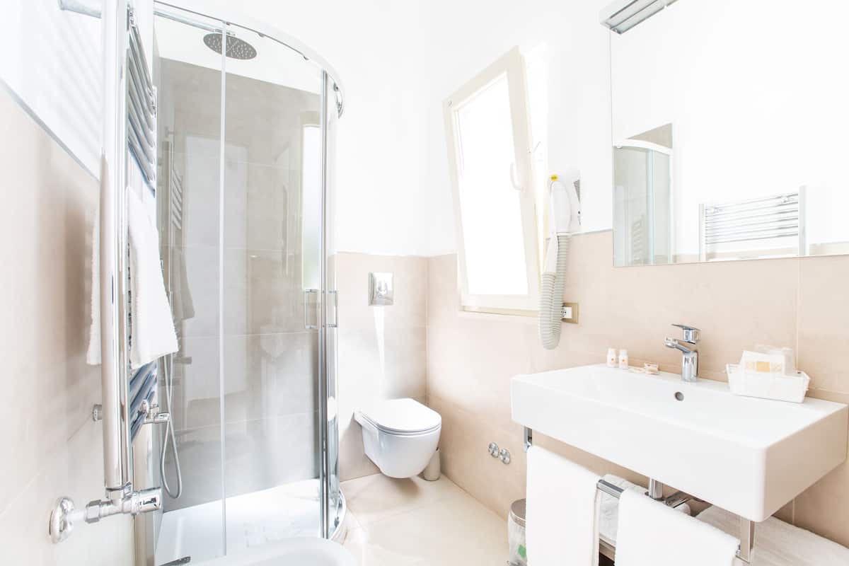 shower, free toiletries, hair dryer, bidet