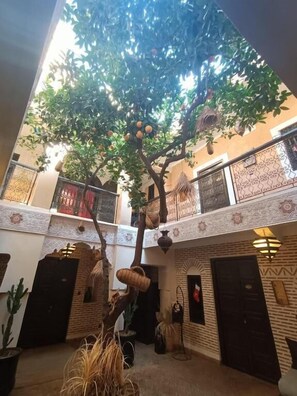 Property grounds - Riad Maud (Marrakech)