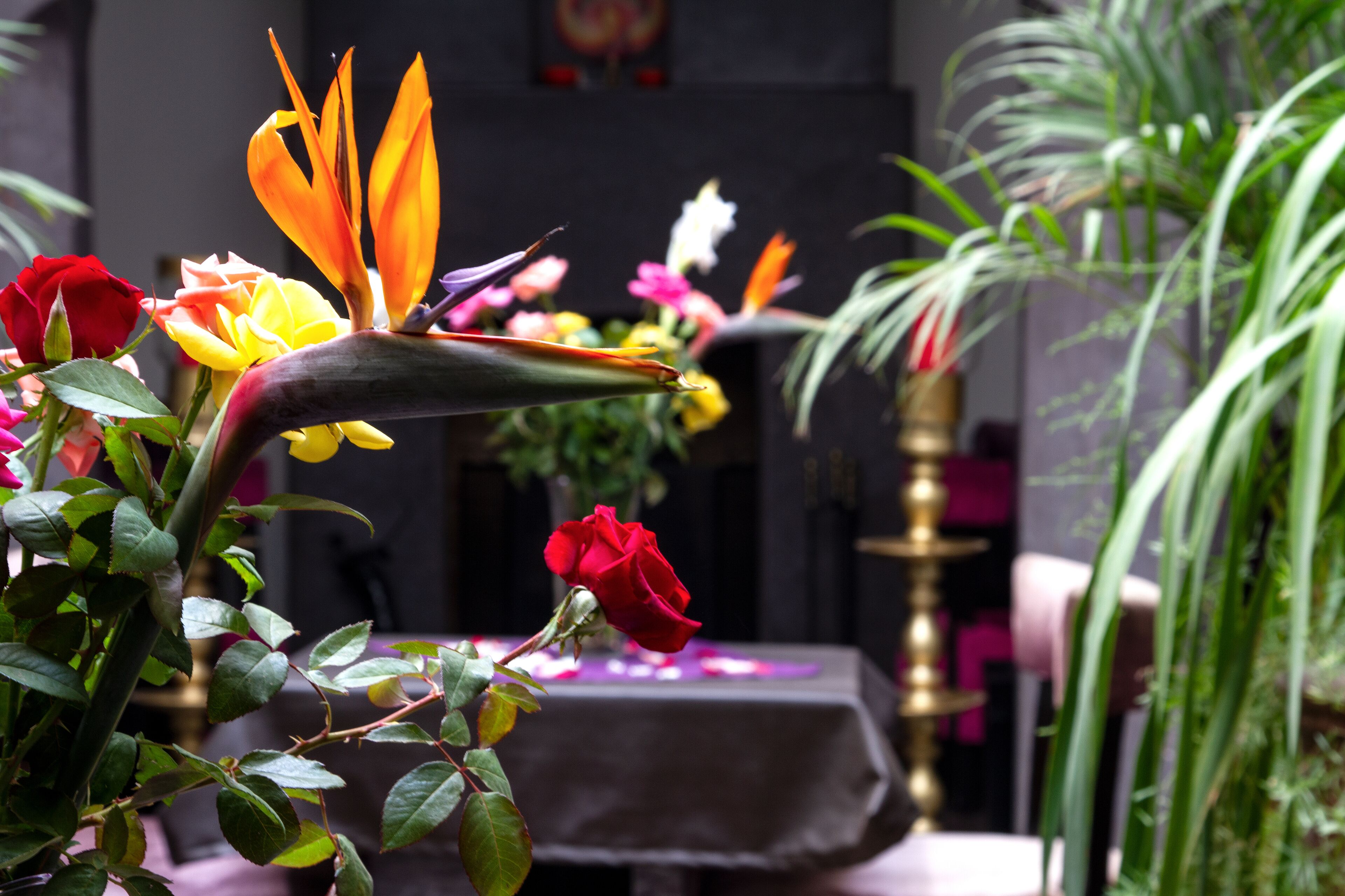 Foto - Ryad Amiran & Spa