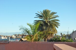 A rooftop with a palm tree and a view of a cityscape with mountains in the distance.