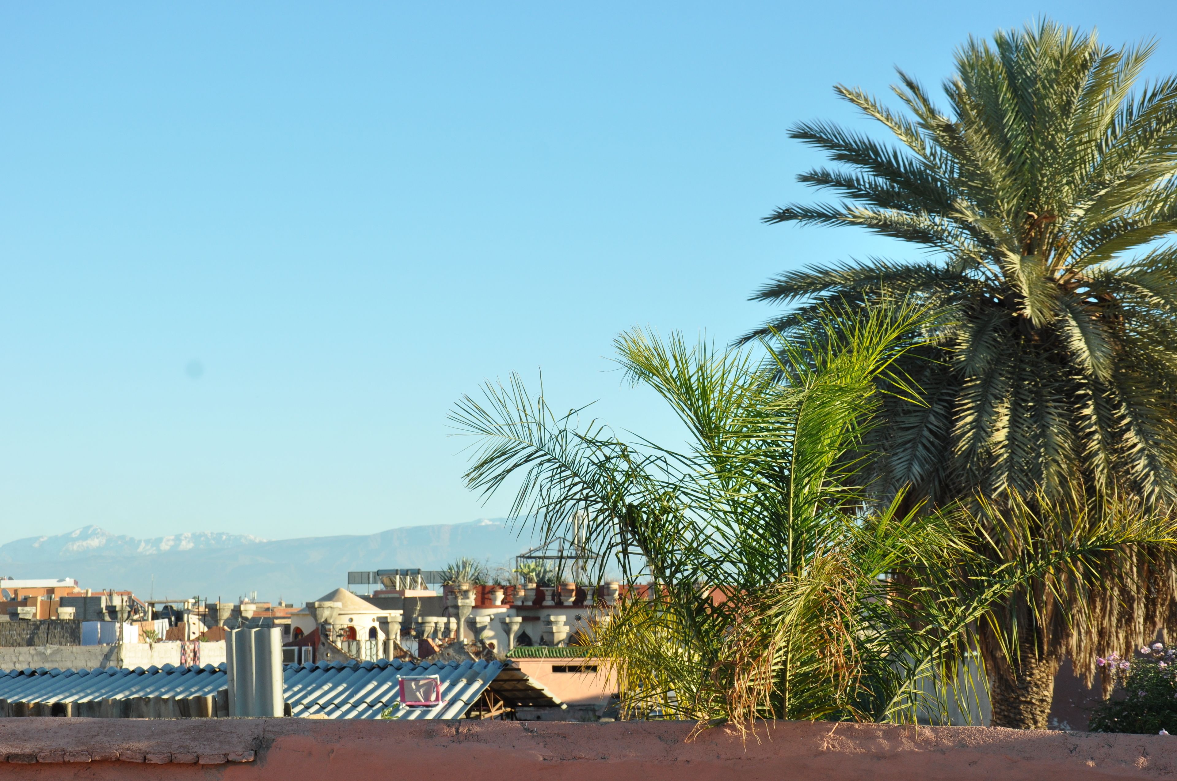 Foto - Riad Sania By Ghali