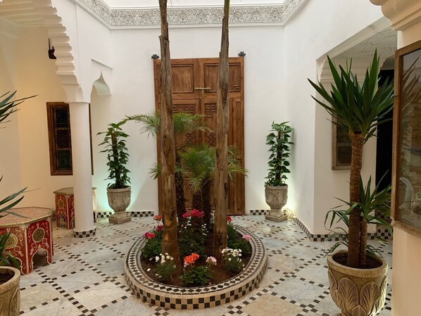A courtyard with a wooden door, potted plants, and a tiled floor.