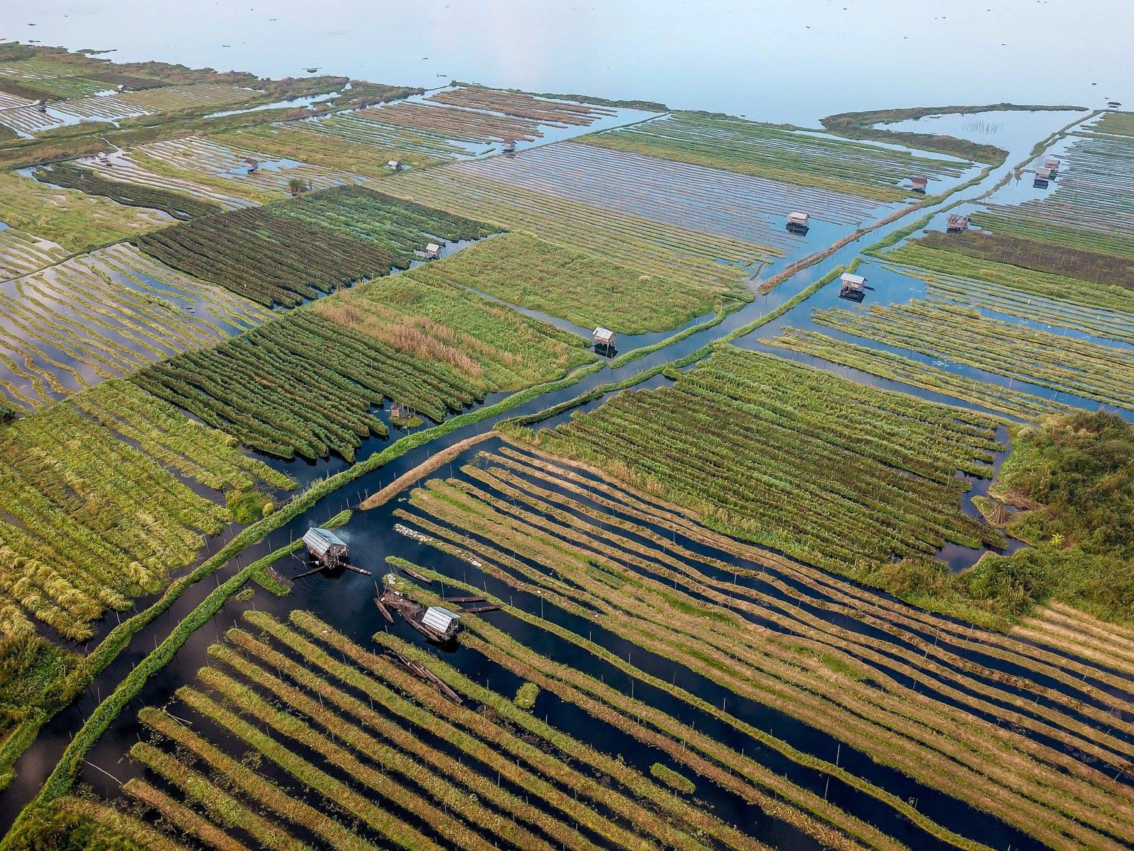 An aerial view of a rice paddy field with water channels and small structures.