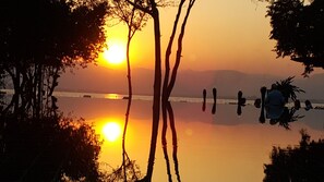 Outdoor pool, a natural pool, pool loungers