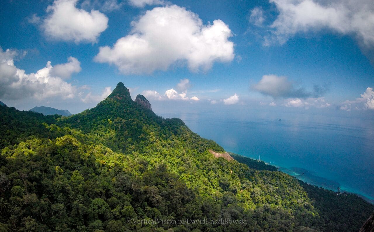 Paisagem montanhosa com floresta densa e vista clara do oceano.