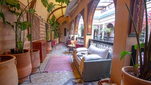 A cozy lounge area with a sofa, large potted plants, and a patterned rug.