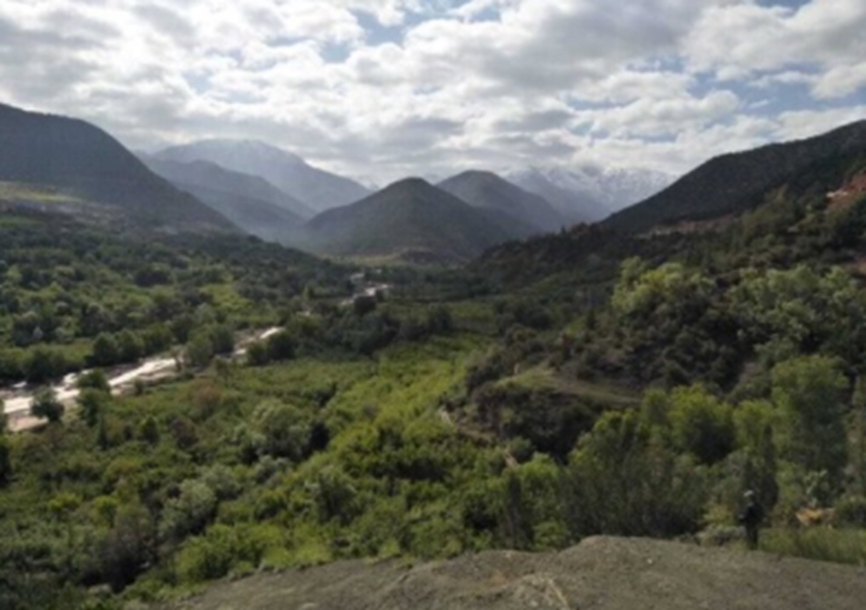 A mountainous landscape with dense greenery and a winding road.