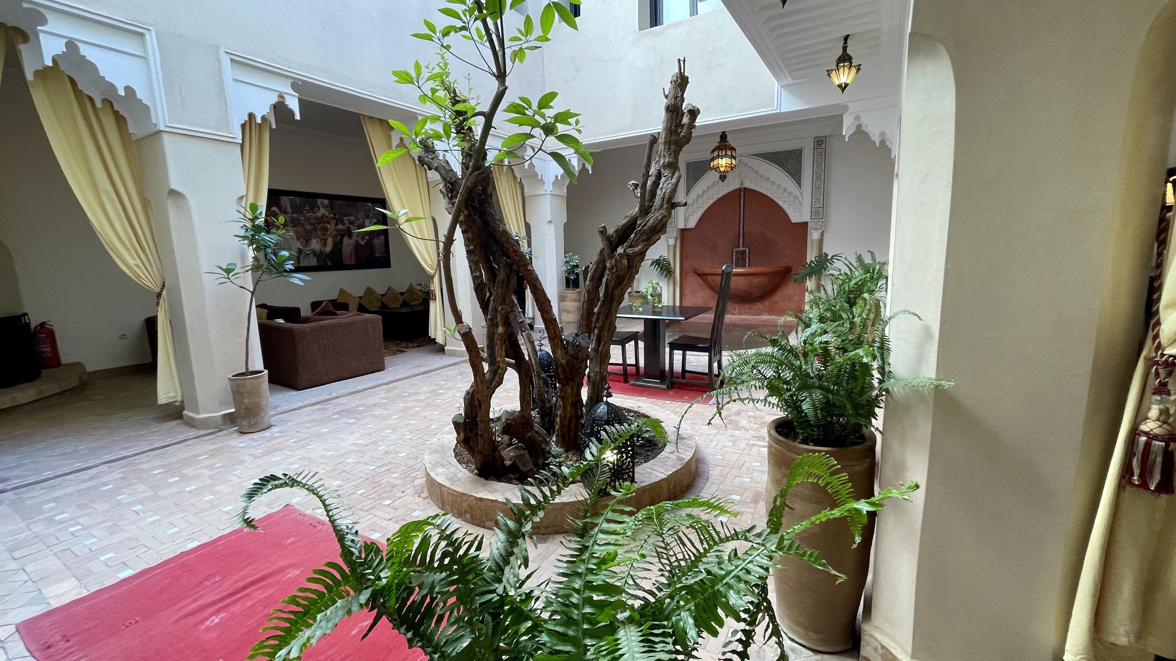 A spacious indoor area with a central seating area, a dining table, and a variety of potted plants.