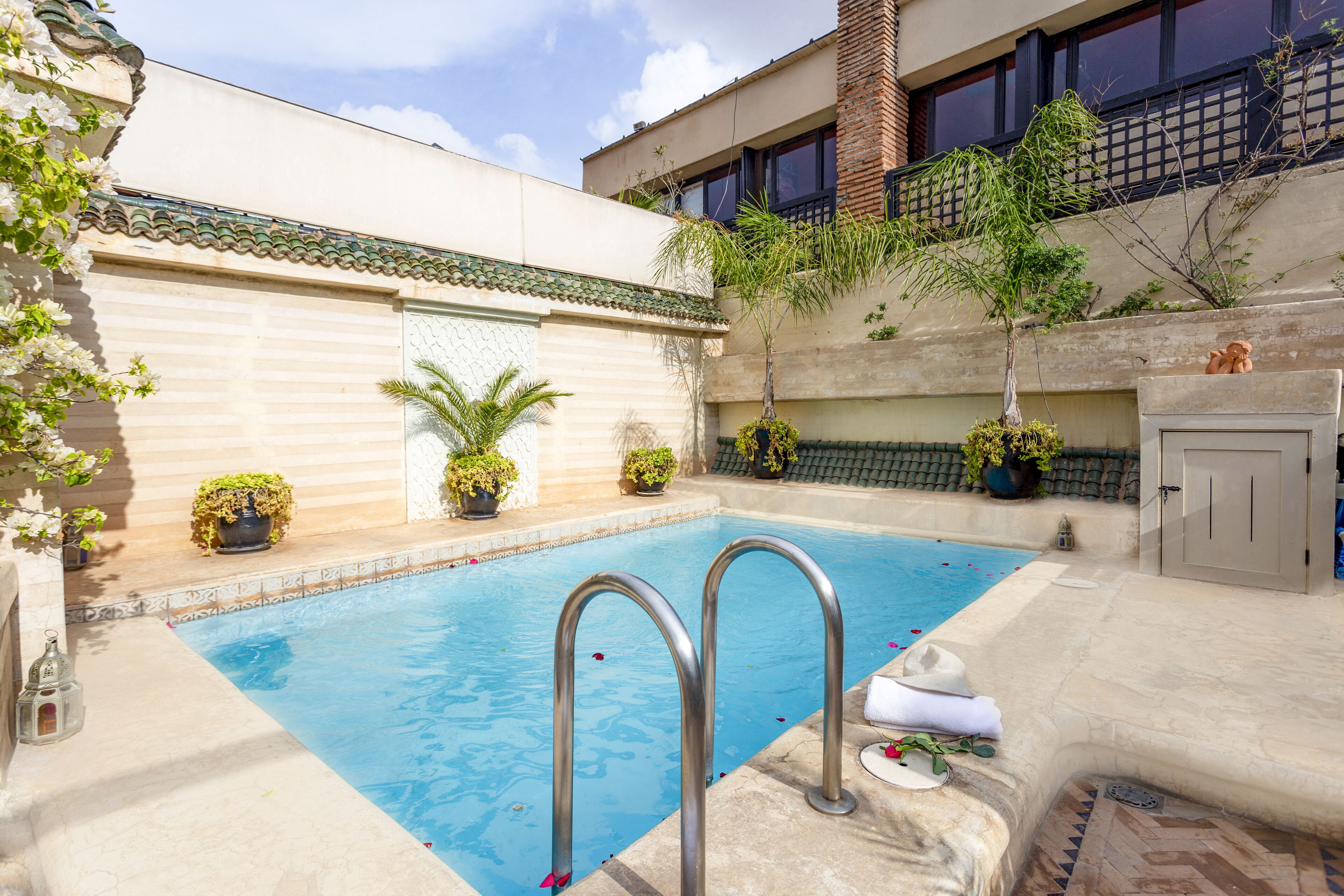 Una piscina con escaleras metálicas, rodeada de plantas en macetas y un solárium con baldosas.