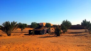 Standard Tent, Garden Area | BBQ/picnic area - Auberge Africa (Taouz)
