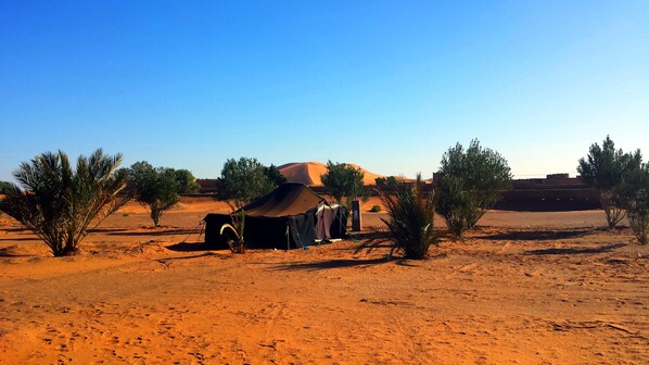 Standard Tent, Garden Area | BBQ/picnic area