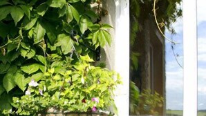 A window with a hanging basket of green foliage and flowers, a stone wall, and a view of a red patterned floor. - Glendine Country House (Arthurstown)